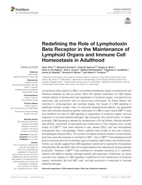 Redefining the Role of Lymphotoxin Beta Receptor in the .